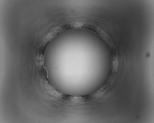 X0000111390525200907171249