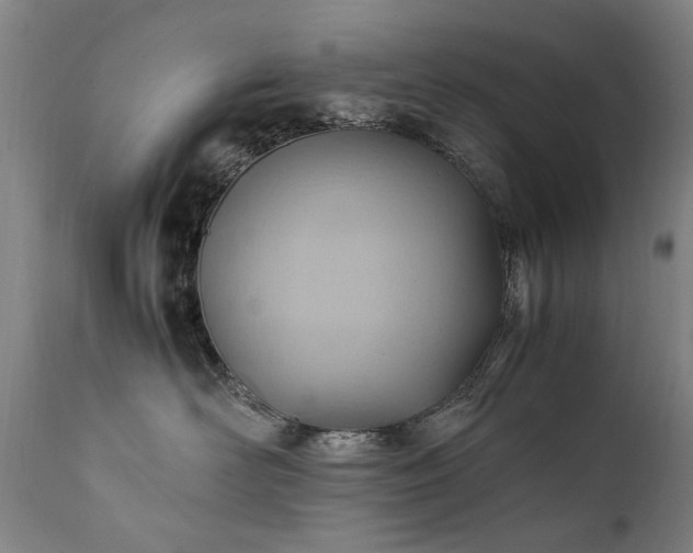 X0000111390526200907171249