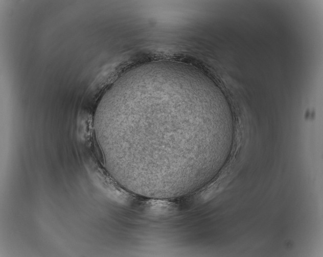 X0000111390528200907171249