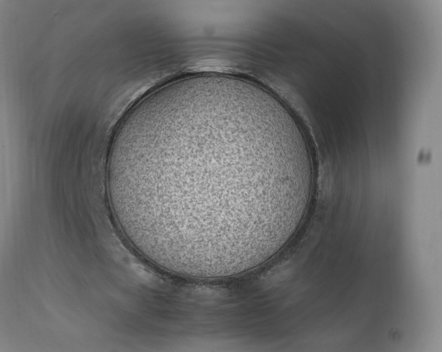 X0000111390529200907171248