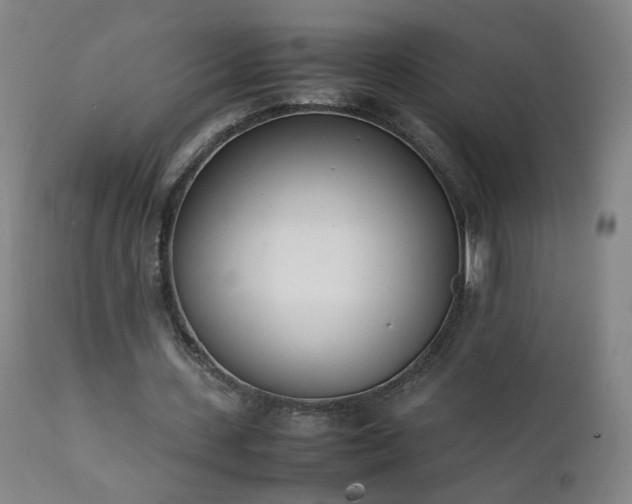 X0000111390531200907171248