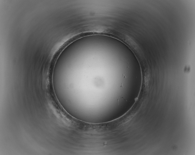 X0000111390532200907171248