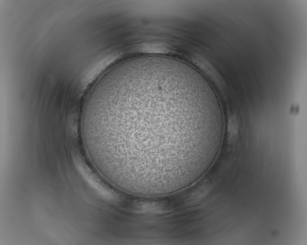 X0000111390533200907171248