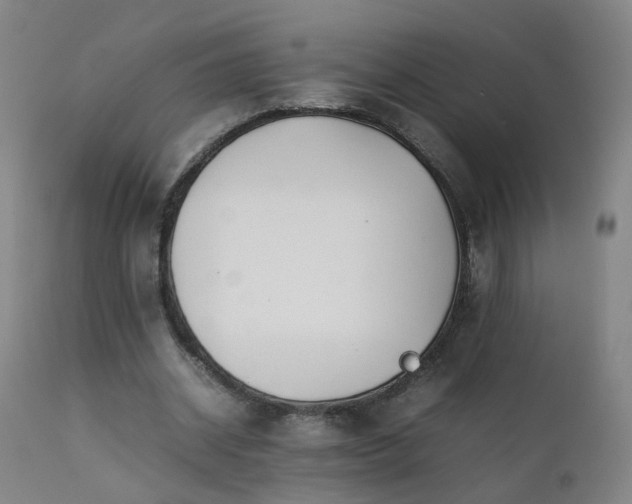 X0000111390534200907171248