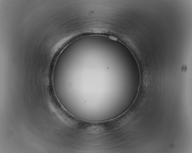 X0000111390536200907171248