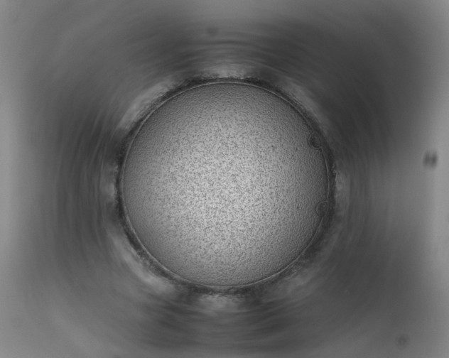 X0000111390537200907171248