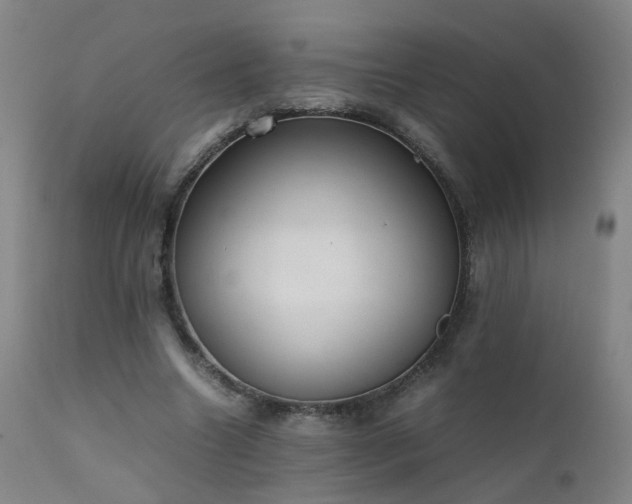 X0000111390538200907171248