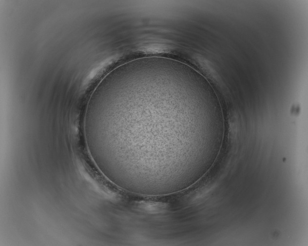 X0000111390539200907171248