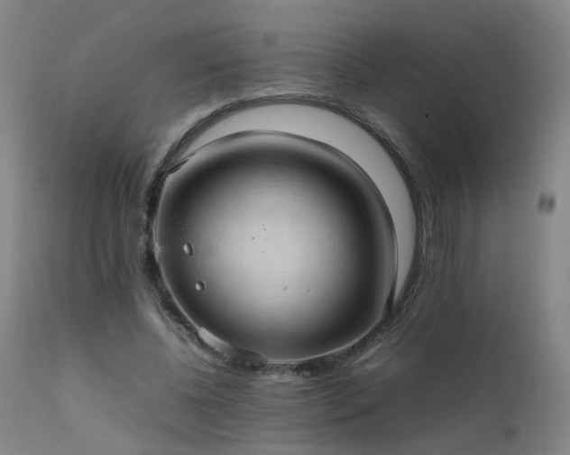 X0000111390540200907171248