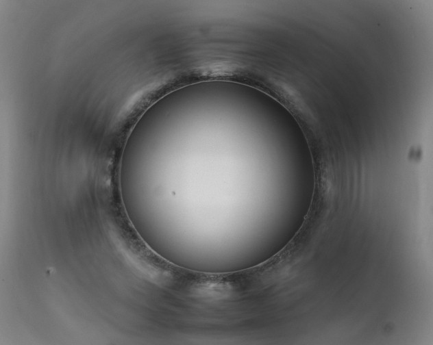 X0000111390543200907171248