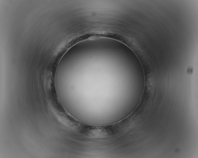 X0000111390544200907171248