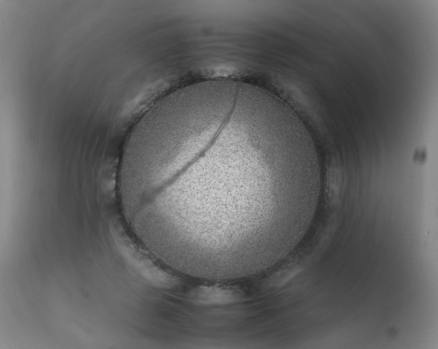 X0000111390545200907171248