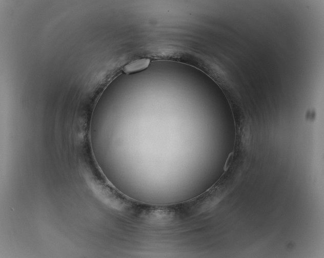 X0000111390546200907171248