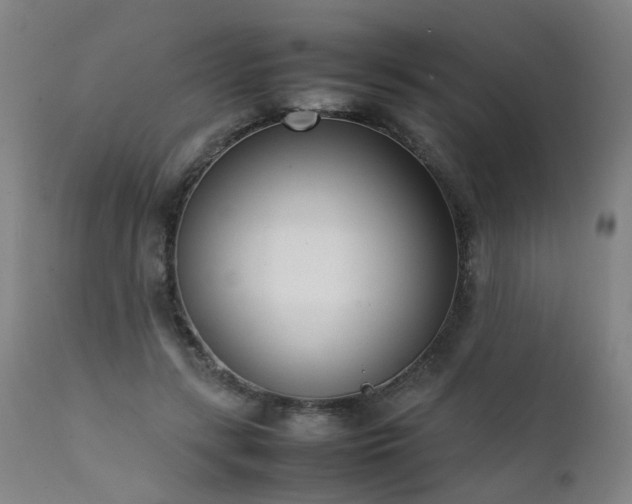 X0000111390547200907171248