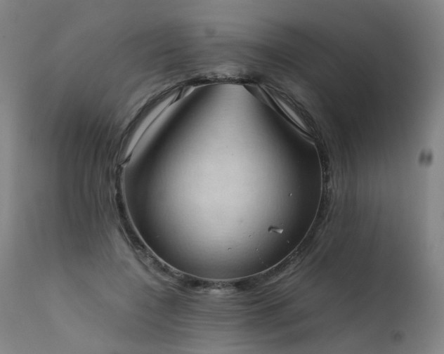 X0000111390548200907171248