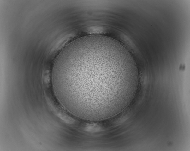 X0000111390549200907171248