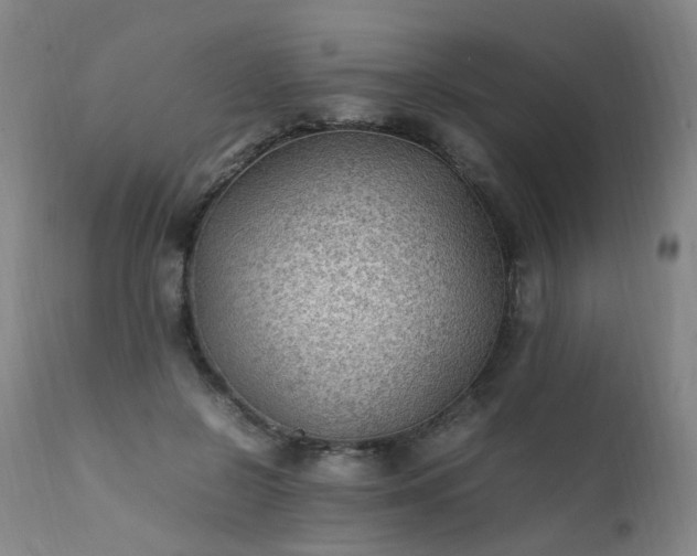 X0000111390550200907171248