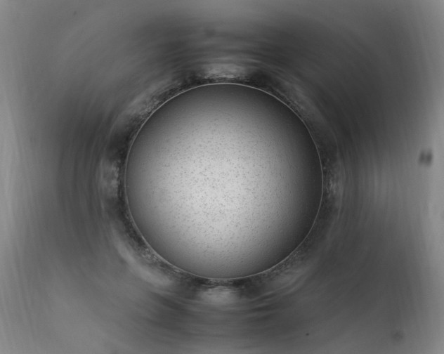 X0000111390551200907171248