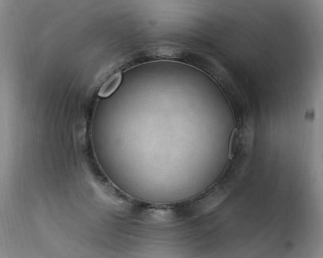 X0000111390552200907171248