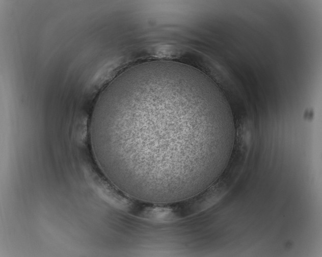 X0000111390554200907171248