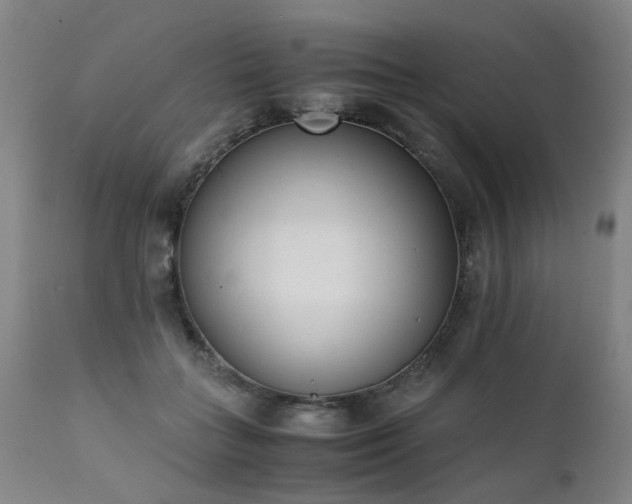 X0000111390555200907171249