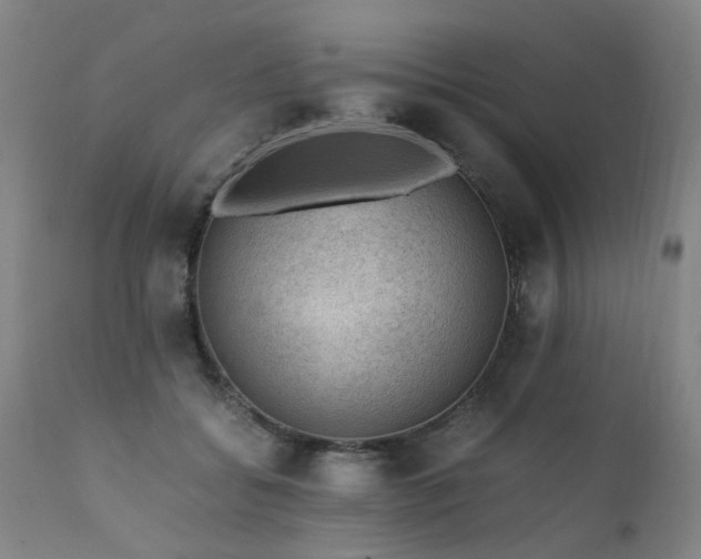 X0000111390556200907171249