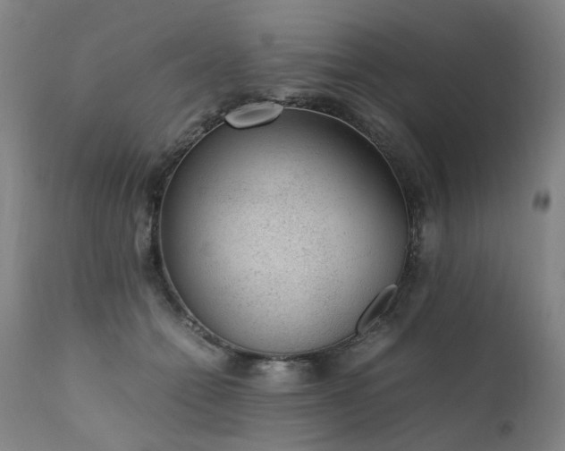 X0000111390558200907171249