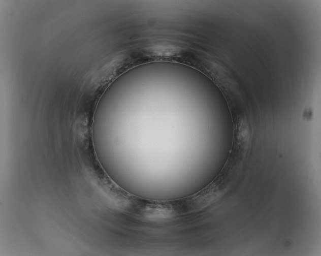 X0000111390559200907171249