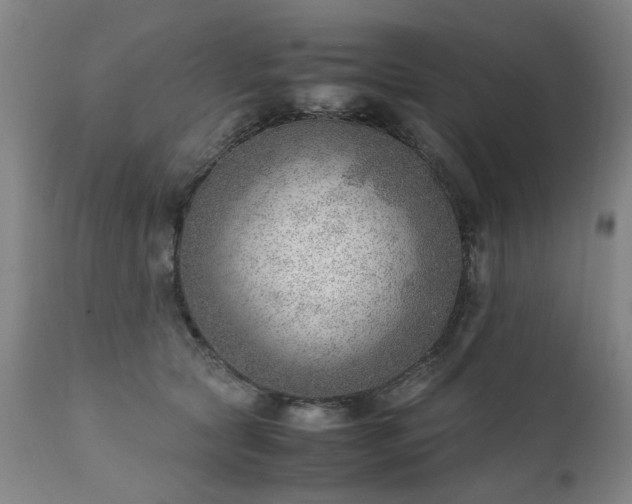 X0000111390561200907171249