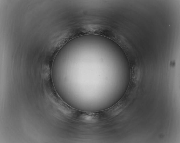 X0000111390563200907171249