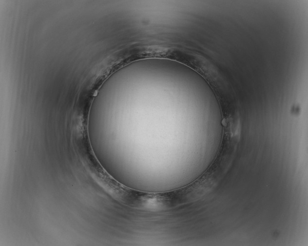 X0000111390564200907171249