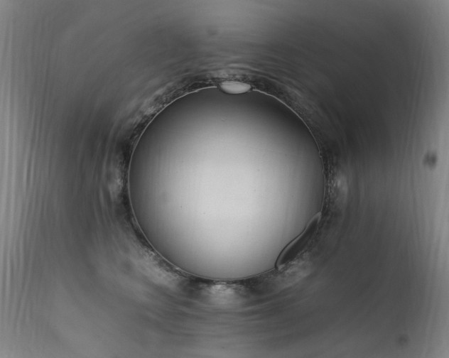 X0000111390566200907171249