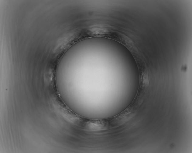 X0000111390567200907171249