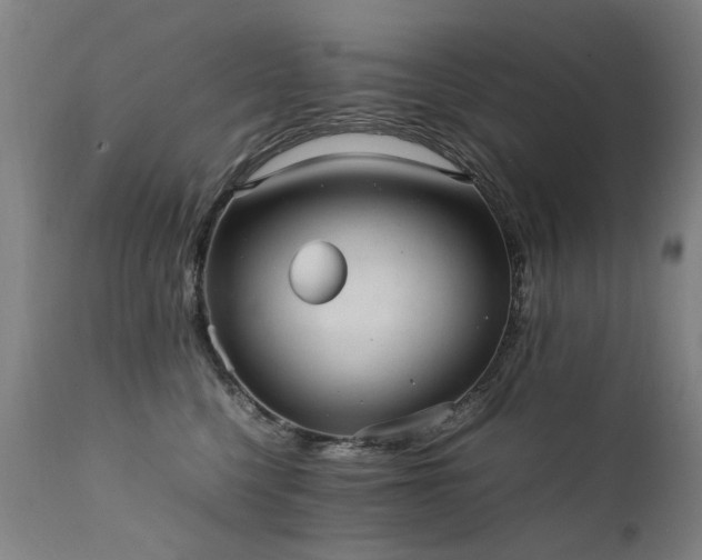 X0000111390568200907171249