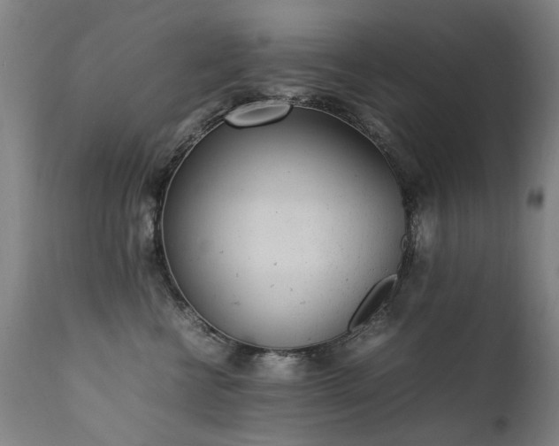 X0000111390570200907171249