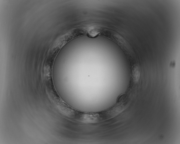 X0000111390571200907171249