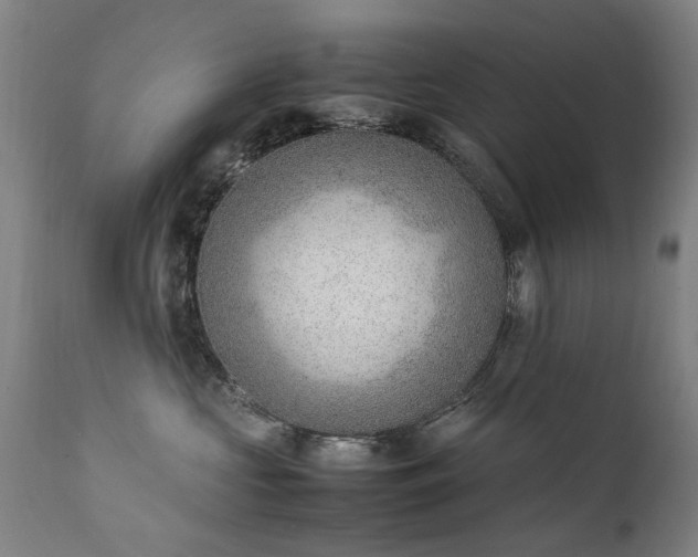 X0000111390573200907171249