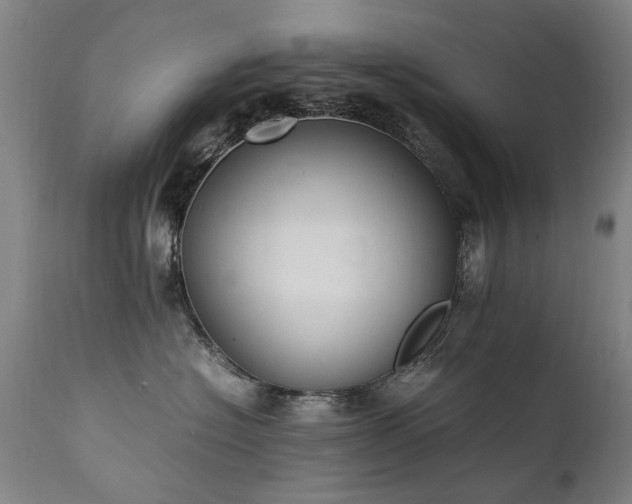 X0000111390574200907171249