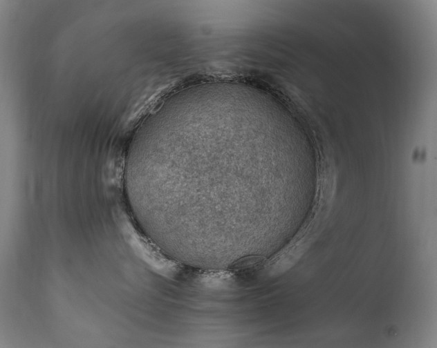 X0000111390576200907171249