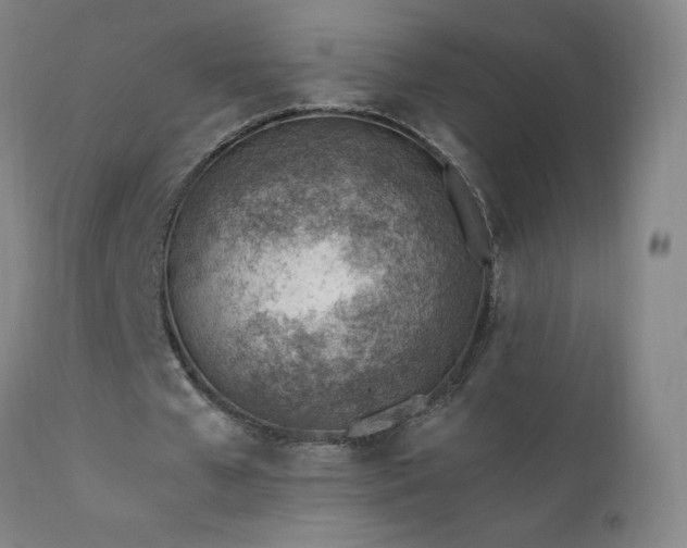 X0000111390577200907171248