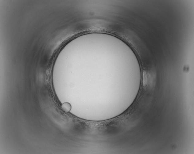 X0000111390579200907171248