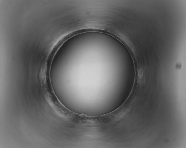 X0000111390580200907171248