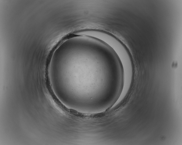 X0000111390581200907171248