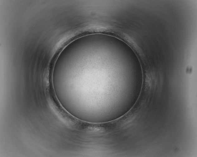 X0000111390582200907171248