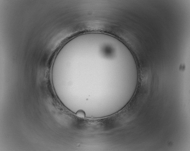 X0000111390583200907171248