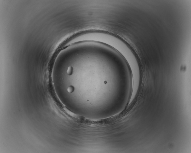 X0000111390584200907171248