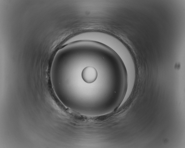 X0000111390585200907171248