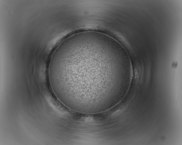 X0000111390588200907171248