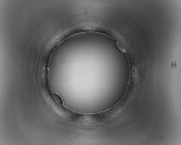 X0000111390589200907171248