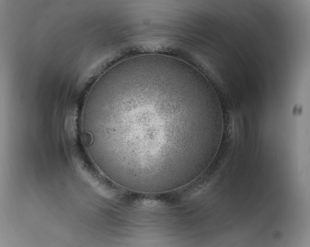 X0000111390590200907171248